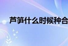 蘆筍什么時候種合適（蘆筍什么時候種）