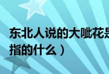 東北人說的大呲花是什么意思（東北大呲花是指的什么）