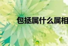 包拯屬什么屬相（包拯屬什么生肖）