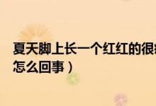 夏天腳上長(zhǎng)一個(gè)紅紅的很癢是什么（夏天腳上長(zhǎng)紅疙瘩很癢怎么回事）