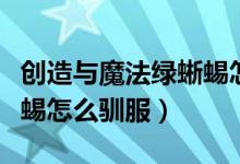 創(chuàng)造與魔法綠蜥蜴怎么馴服（創(chuàng)造與魔法綠蜥蜴怎么馴服）