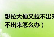 想拉大便又拉不出來(lái)是便秘嗎（想拉大便又拉不出來(lái)怎么辦）