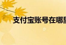 支付寶賬號在哪里看（賬號如何查看）