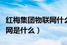 紅梅集團(tuán)物聯(lián)網(wǎng)什么時(shí)候掛牌（紅梅集團(tuán)物聯(lián)網(wǎng)是什么）
