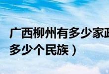 廣西柳州有多少家政府平臺(tái)公司（廣西柳州有多少個(gè)民族）