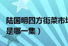 陸國明四方街菜市場視頻（陸國民四方菜市場是哪一集）