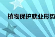 植物保護(hù)就業(yè)形勢(shì)（植物保護(hù)就業(yè)方向）