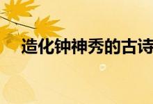 造化鐘神秀的古詩（造化鐘神秀下一句）