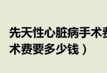 先天性心臟病手術(shù)費(fèi)要多少（先天性心臟病手術(shù)費(fèi)要多少錢）
