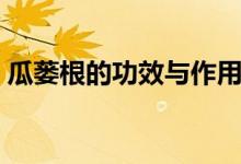 瓜蔞根的功效與作用（瓜蔞根的功效與作用）