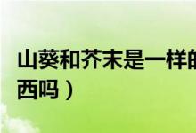 山葵和芥末是一樣的嗎（山葵和芥末是一種東西嗎）