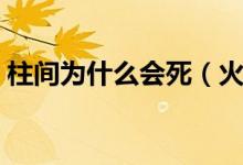 柱間為什么會(huì)死（火影忍者柱間是怎么死的）
