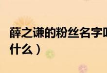 薛之謙的粉絲名字叫什么（薛之謙的粉絲名叫什么）