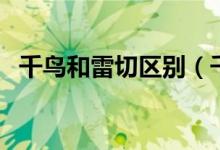 千鳥和雷切區(qū)別（千鳥和雷切區(qū)別是什么）