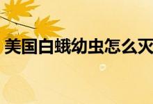 美國白蛾幼蟲怎么滅（美國白蛾幼蟲蜇人嗎）