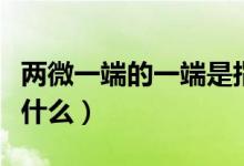 兩微一端的一端是指什么（兩微一端的一端指什么）