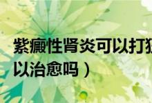 紫癜性腎炎可以打狂犬疫苗嗎（紫癜性腎炎可以治愈嗎）