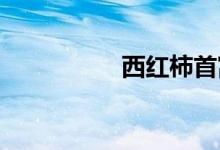 西紅柿首富女主角是誰(shuí)