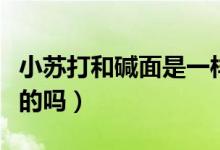 小蘇打和堿面是一樣嗎（小蘇打和堿面是一樣的嗎）