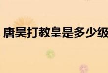 唐昊打教皇是多少級(jí)（唐昊打教皇是哪一集）