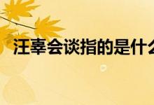 汪辜會談指的是什么（汪辜會談指的是誰）