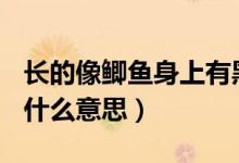 長的像鯽魚身上有黑色條紋的魚（cdx交友是什么意思）