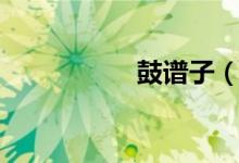 鼓譜子（鼓譜怎么看）