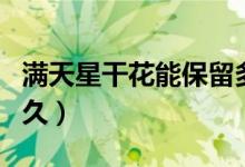 滿天星干花能保留多久（滿天星干花能保存多久）