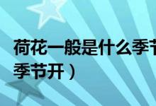 荷花一般是什么季節(jié)開（荷花是什么時候什么季節(jié)開）