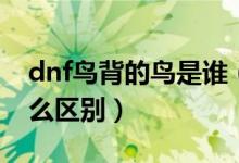 dnf鳥背的鳥是誰（dnf鳥背單人和組隊(duì)有什么區(qū)別）