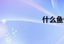 什么魚俗稱開背魚