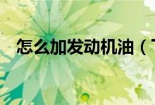 怎么加發(fā)動機油（下面6個步驟幫你解決）