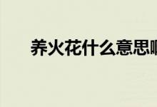 養(yǎng)火花什么意思?。B(yǎng)火花什么意思）