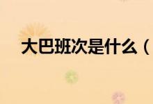 大巴班次是什么（大巴班次是什么意思）