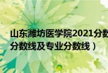 山東濰坊醫(yī)學(xué)院2021分數(shù)線（濰坊醫(yī)學(xué)院2021年各省錄取分數(shù)線及專業(yè)分數(shù)線）