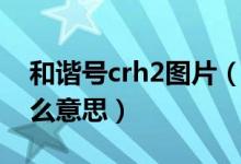 和諧號crh2圖片（和諧號上的印的CRH是什么意思）
