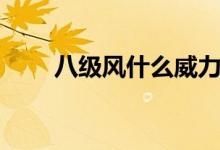 八級風什么威力（八級風什么概念）