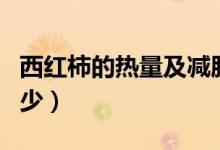 西紅柿的熱量及減肥效果（西紅柿的熱量是多少）