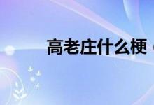 高老莊什么梗（高老莊什么意思）