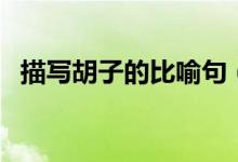 描寫(xiě)胡子的比喻句（關(guān)于胡子的比喻句子）