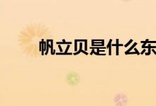 帆立貝是什么東西（帆立貝是什么）