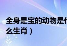 全身是寶的動物是什么（全身是寶的動物是什么生肖）