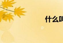 什么叫提漿月餅