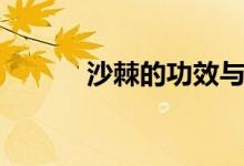 沙棘的功效與作用（你知道嗎）