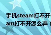 手機(jī)steam打不開偏好設(shè)置怎么辦（手機(jī)steam打不開怎么弄）