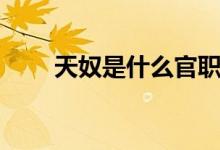 天奴是什么官職（天奴是什么神仙）