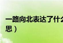 一路向北表達(dá)了什么（一路向北表達(dá)了什么意思）