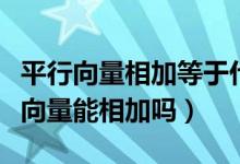 平行向量相加等于什么（什么叫平行向量平行向量能相加嗎）