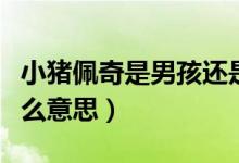 小豬佩奇是男孩還是女孩（生個(gè)小豬佩奇是什么意思）