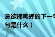 意欲捕鳴蟬的下一句詩句（意欲捕鳴蟬的下一句是什么）